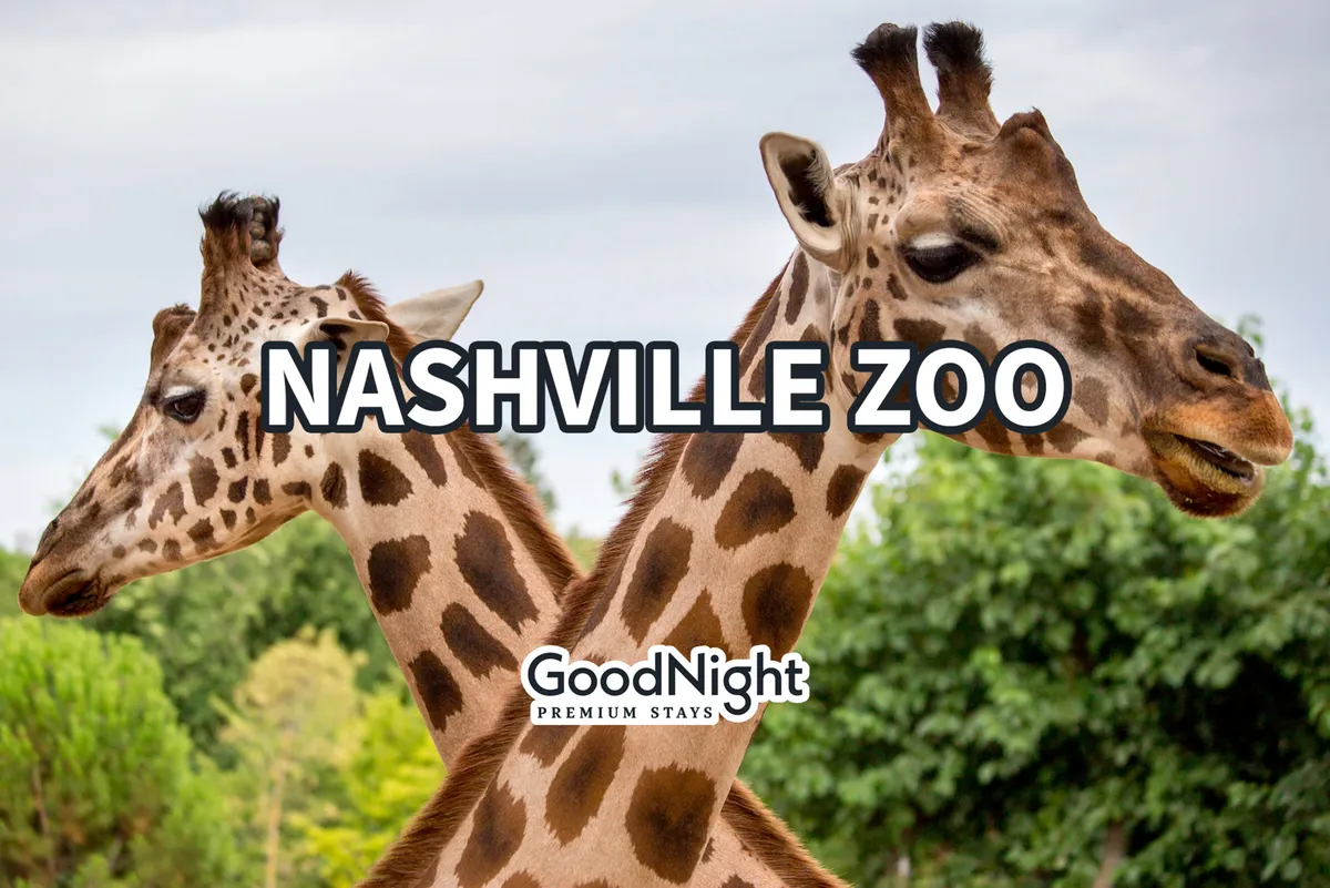 A cheerful exterior shot of giraffes set amidst lush greenery, capturing the energy and excitement of a day spent at the Nashville Zoo. The image brings in the local family attraction experience, showcasing a unique outing option for families staying at Gallatin Retreat.